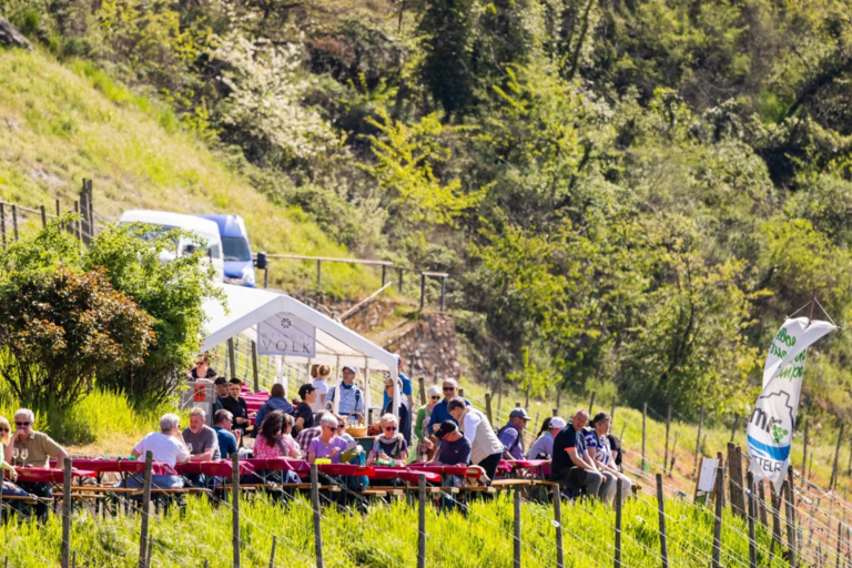 Mittelrheinischer Weinfrühling im Bopparder Hamm