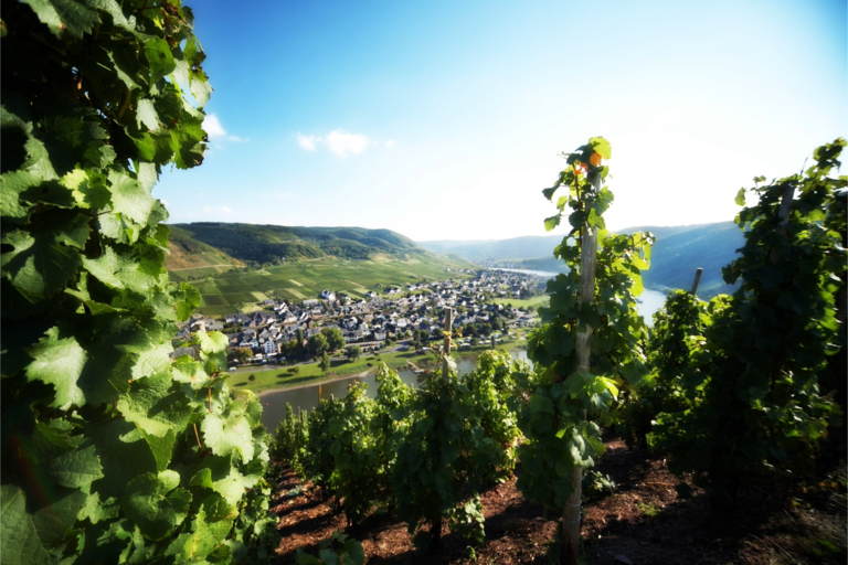 Weinlagenfest am Ufer