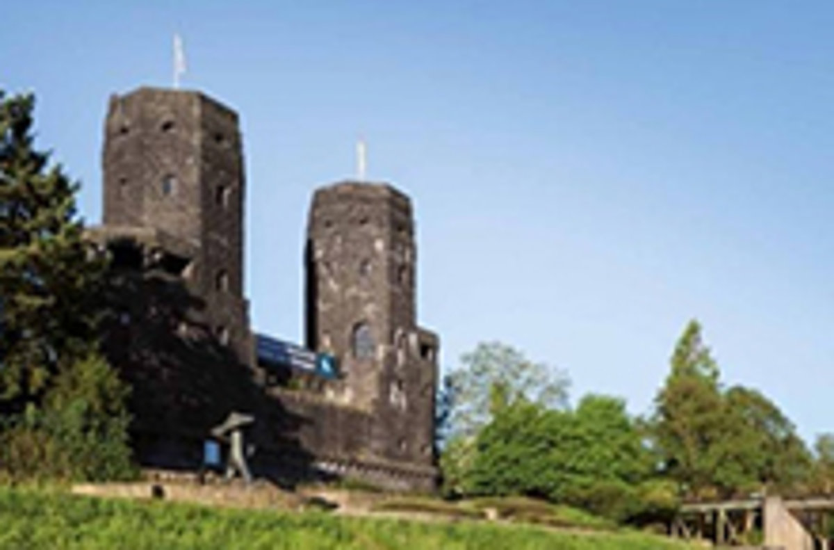 Burg mit 2 Türmen in einem Wald