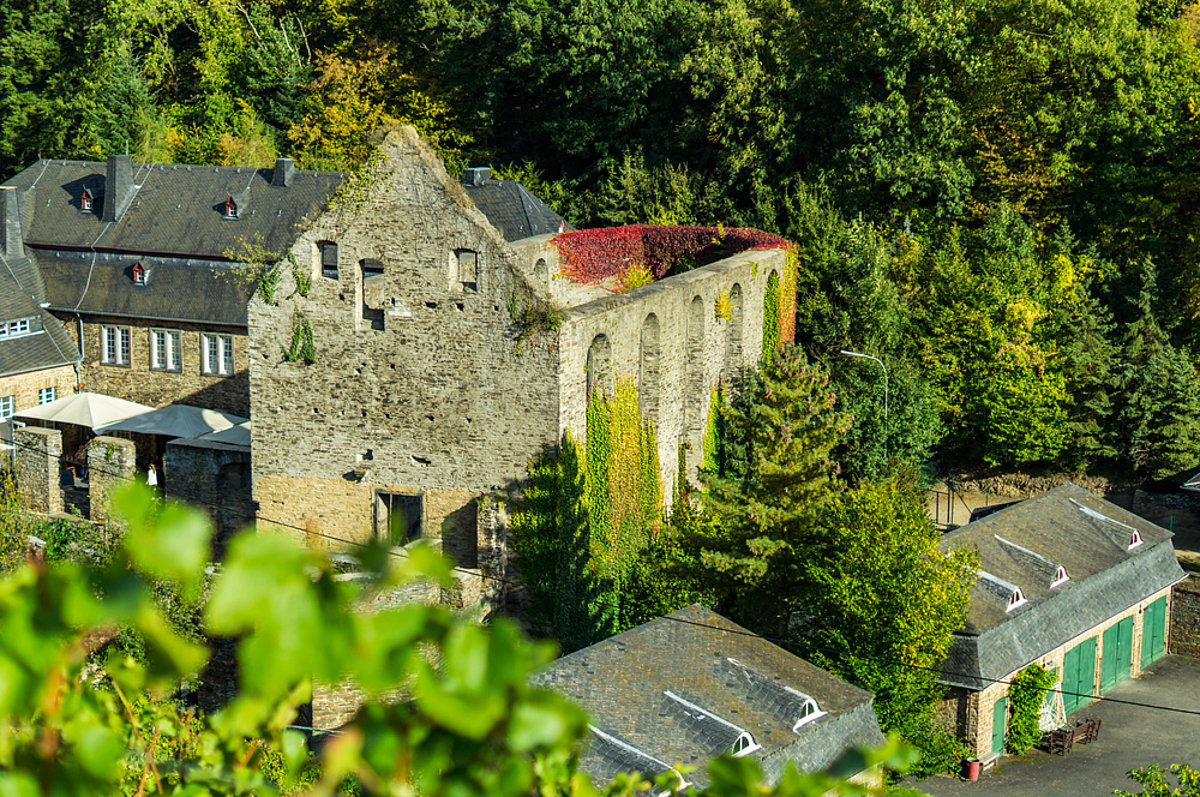 Kloster Marienthal